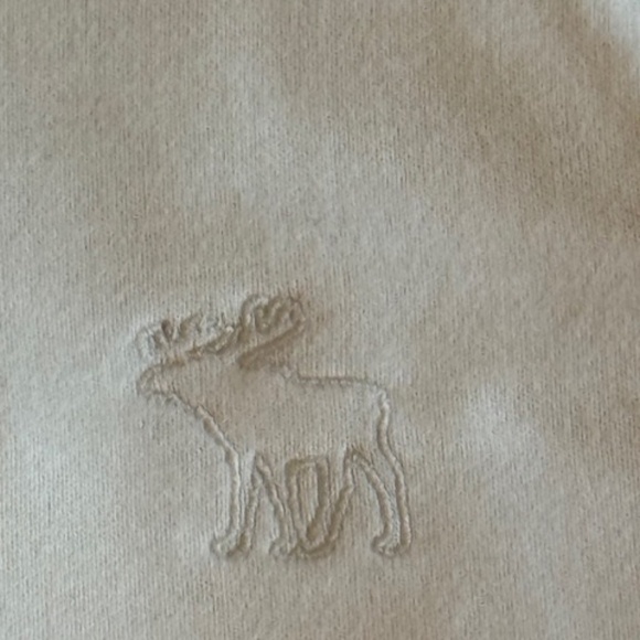 NWT Abercrombie&Fitch  "Ezra Fitch" Lux Hoodie,  Beaded Velvet Trim Size M - Picture 6 of 8